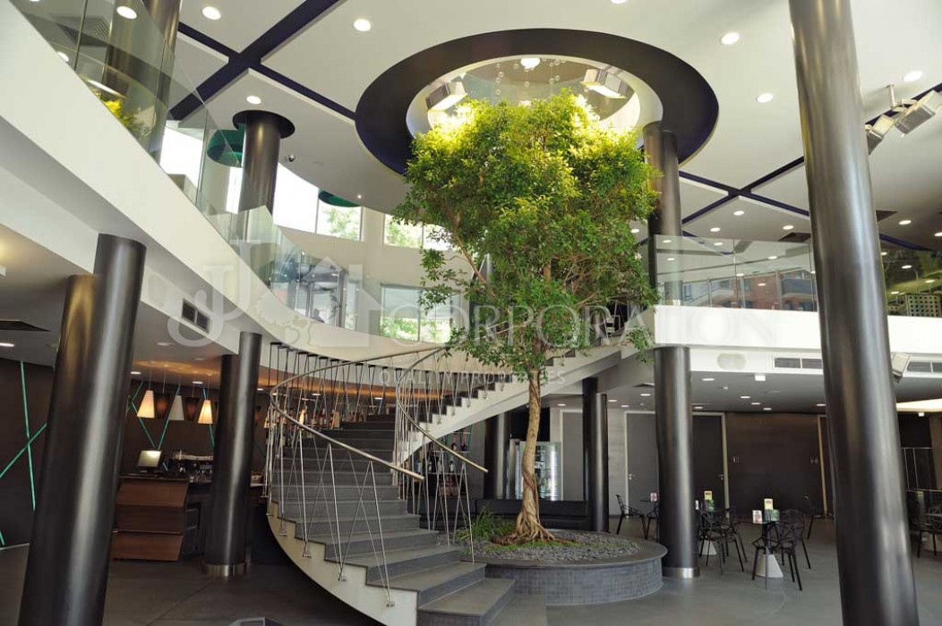 Complex for sale, Изток