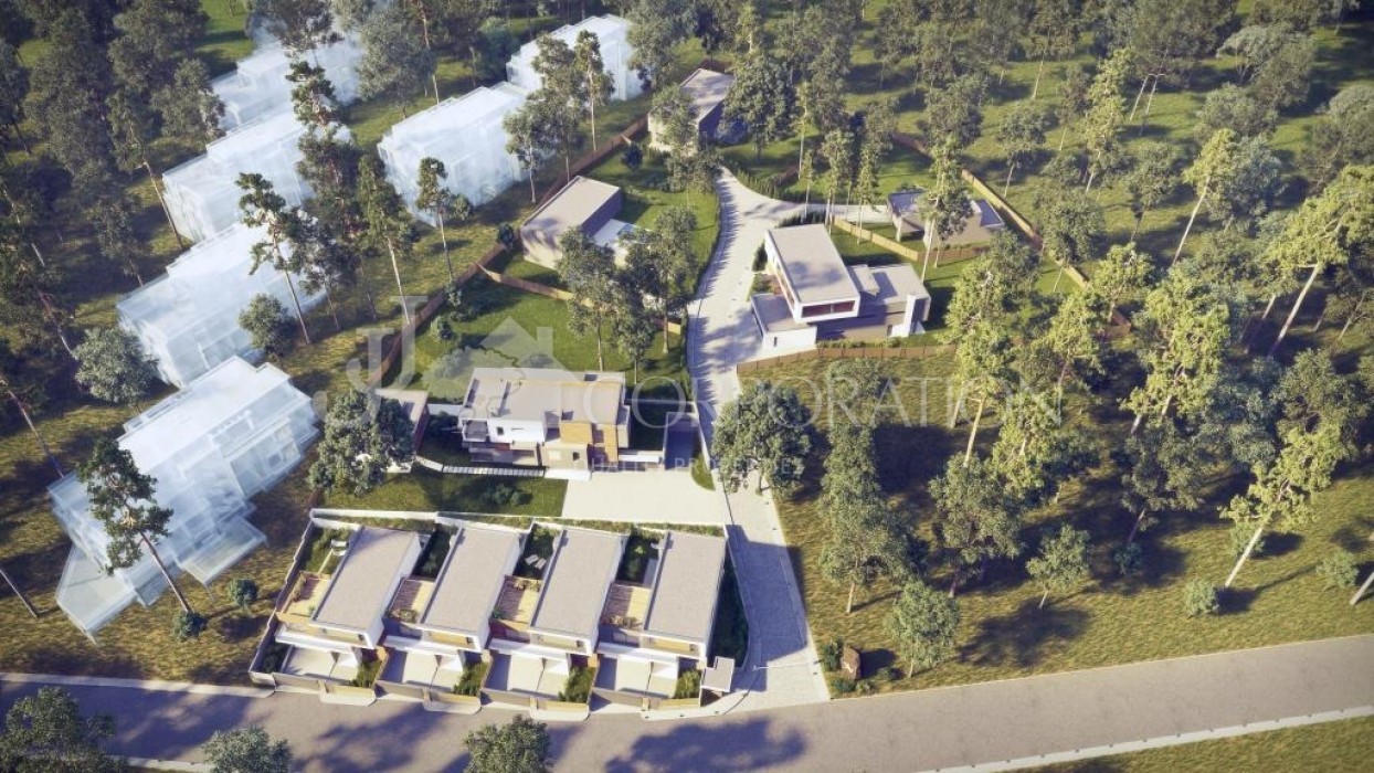 Complex, Бояна